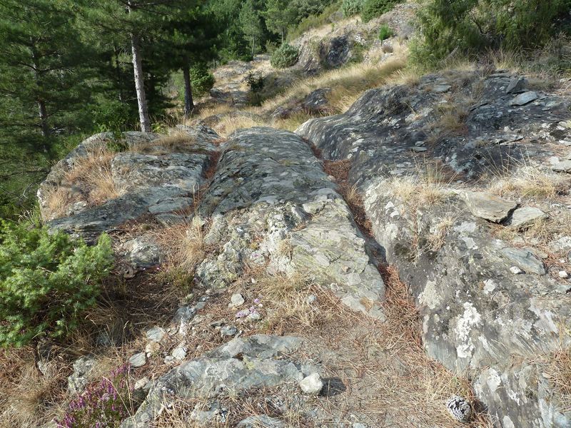 Voie romaine de Coudoulous avec ornières et traces de passage des chars.