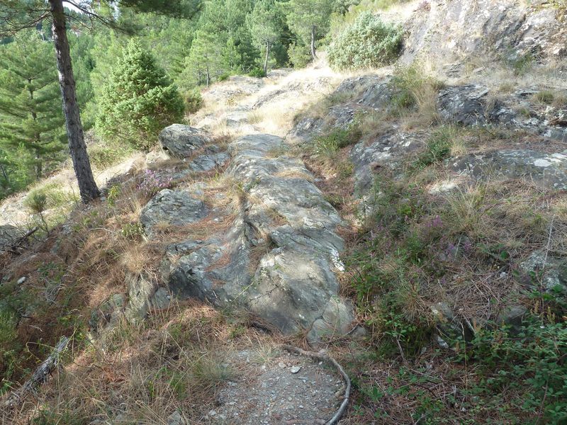 Voie romaine de Coudoulous avec ornières et traces de passage des chars.