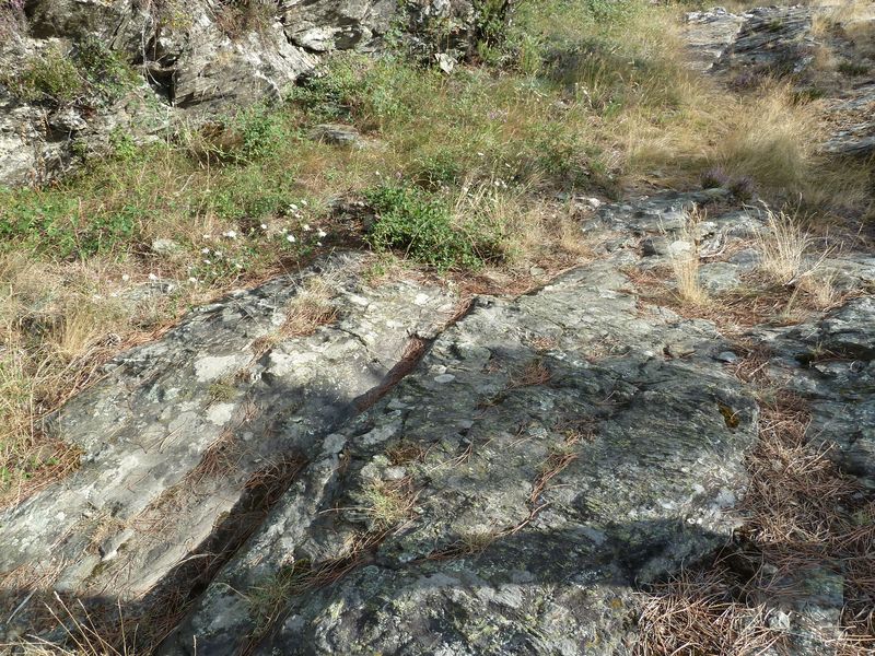 Voie romaine de Coudoulous avec ornières et traces de passage des chars.