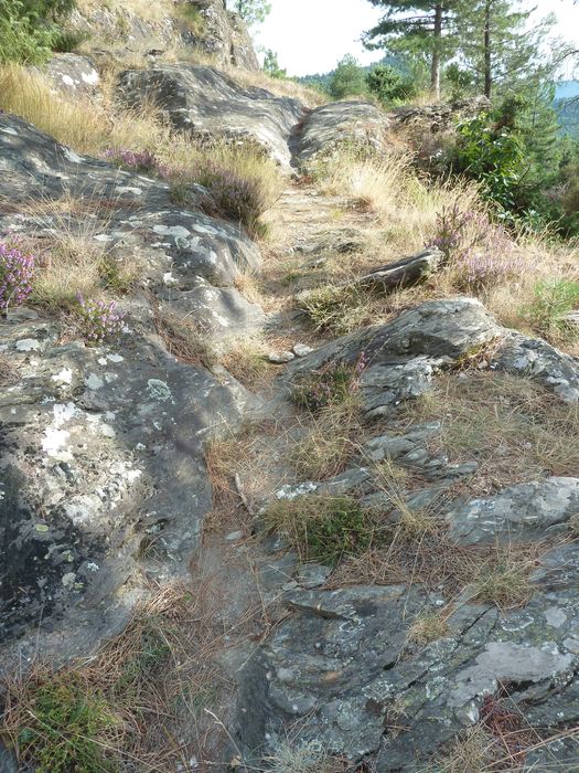 Voie romaine de Coudoulous avec ornières et traces de passage des chars.