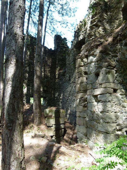 Ancienne mine argentifère. La fonderie.