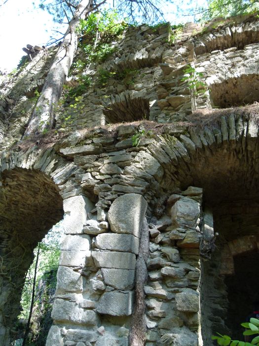 Ancienne mine argentifère. La fonderie.