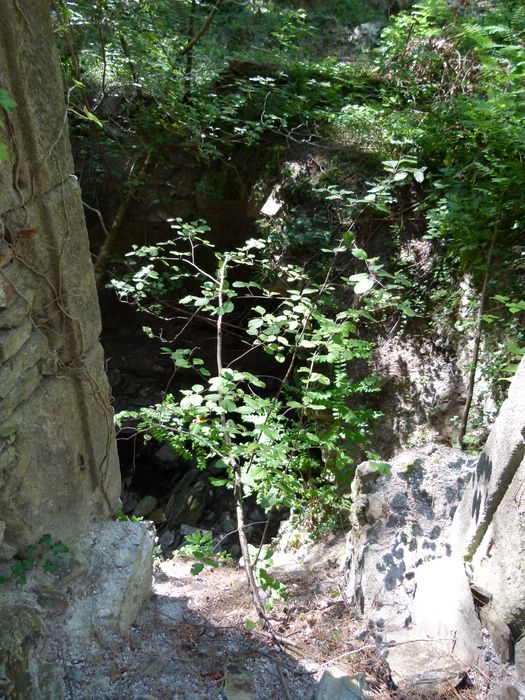 Ancienne mine argentifère. La fonderie. 