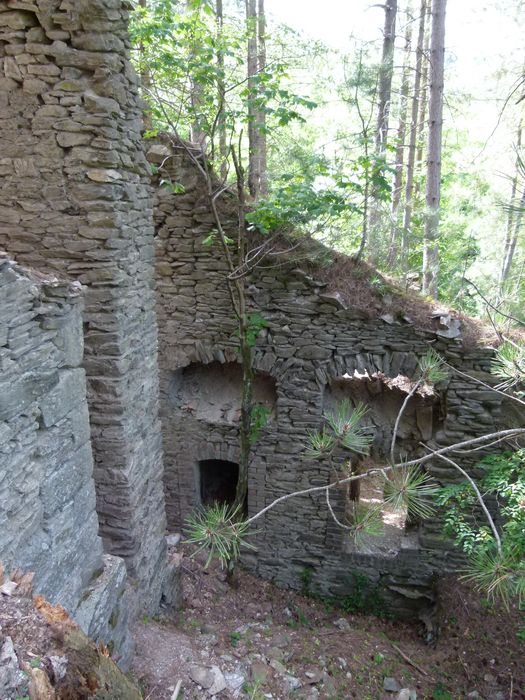 Ancienne mine argentifère. Cheminée de condensation.