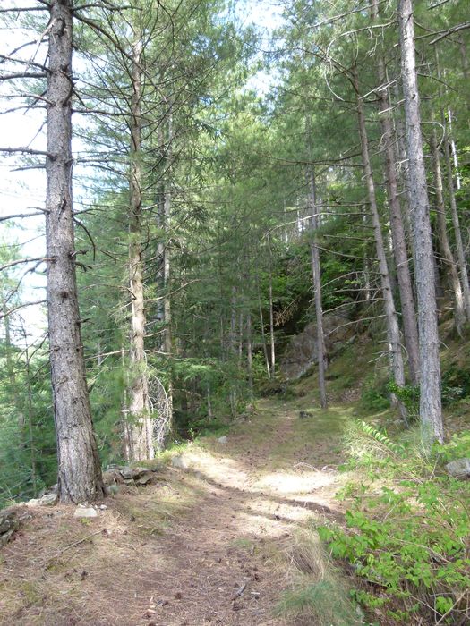 Ancienne mine argentifère. Ancien chemin d’amenée du minerai depuis le tri à la halde.