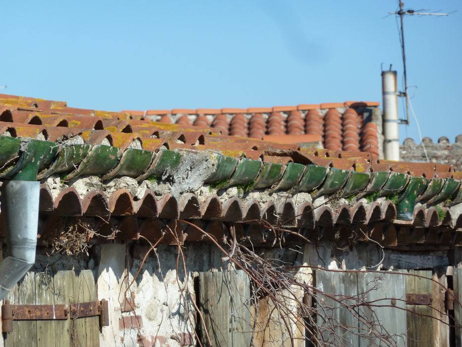 Cour intérieure. Façade sud. Génoise et gouttière en tuiles vernissées vertes.