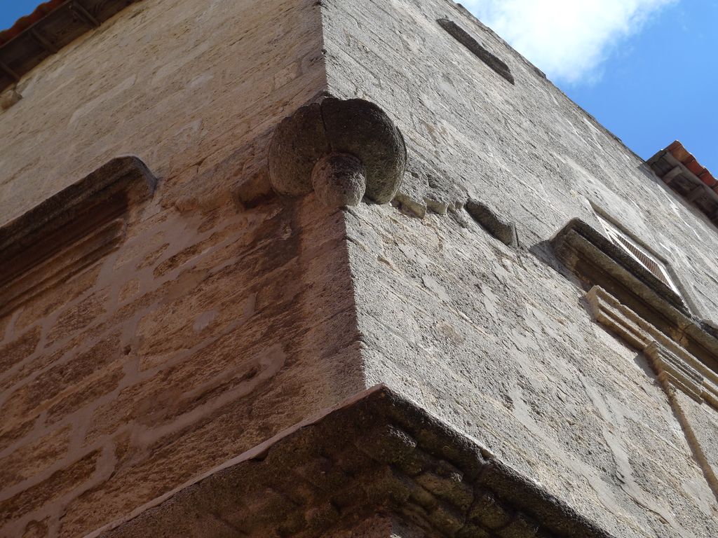 Façade sud. Corniches.