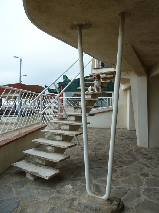 L’escalier placé en diagonale vient en buté contre le muret de clôture.