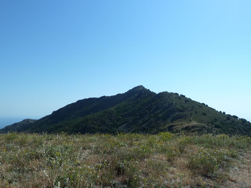 Vue du Puig de Querroig depuis le chemin d’accès venant de Banyuls.