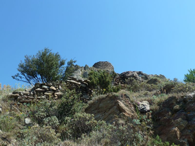 Puig de Querroig. Substrat de schiste ferrugineux rougeâtre formant le socle du site.