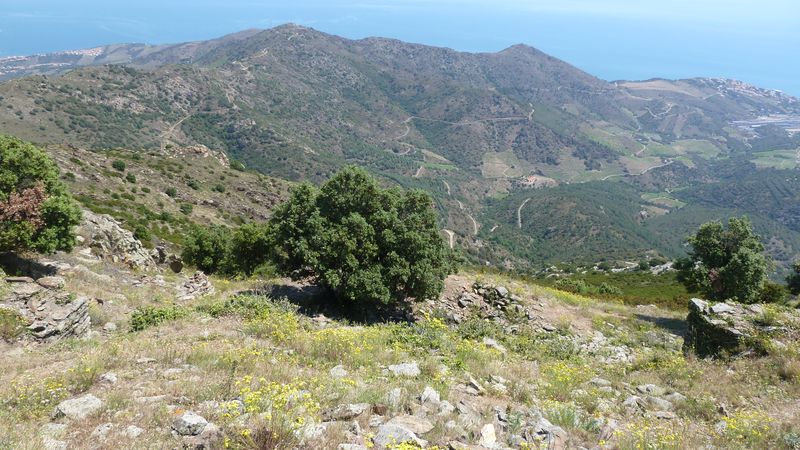 Vue de la partie sud du site.