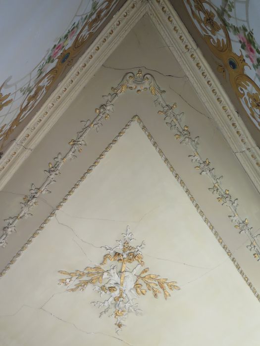 Salle des fêtes du 1er étage. Décor du plafond par Paul Vié ornemaniste à Narbonne.