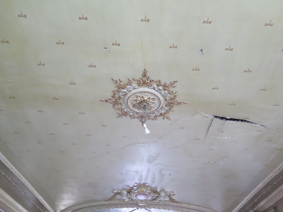 Salle des fêtes du 1er étage. Décor du plafond. Rosace en stuc et cartouches avec angelots et guirlandes.