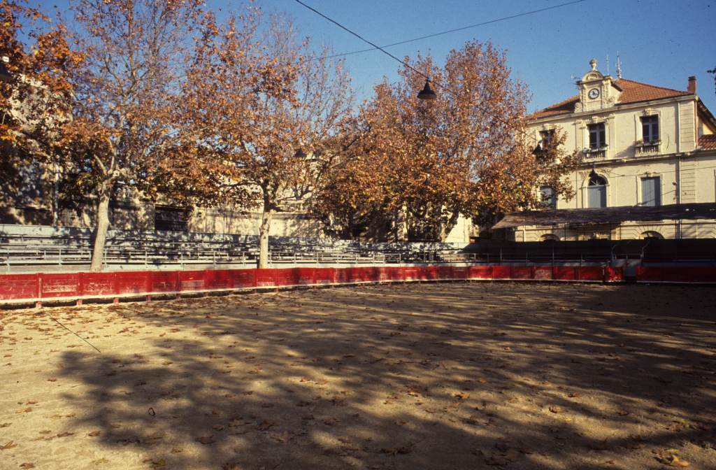 Arènes, mairie, piste, platanes.