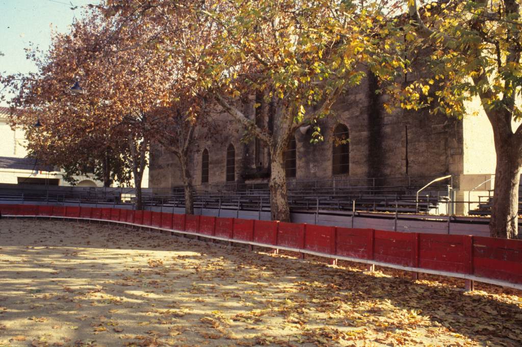 Arènes, piste et platanes.