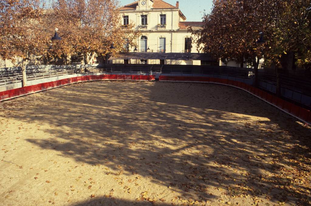 Arènes, piste, platanes et mairie.