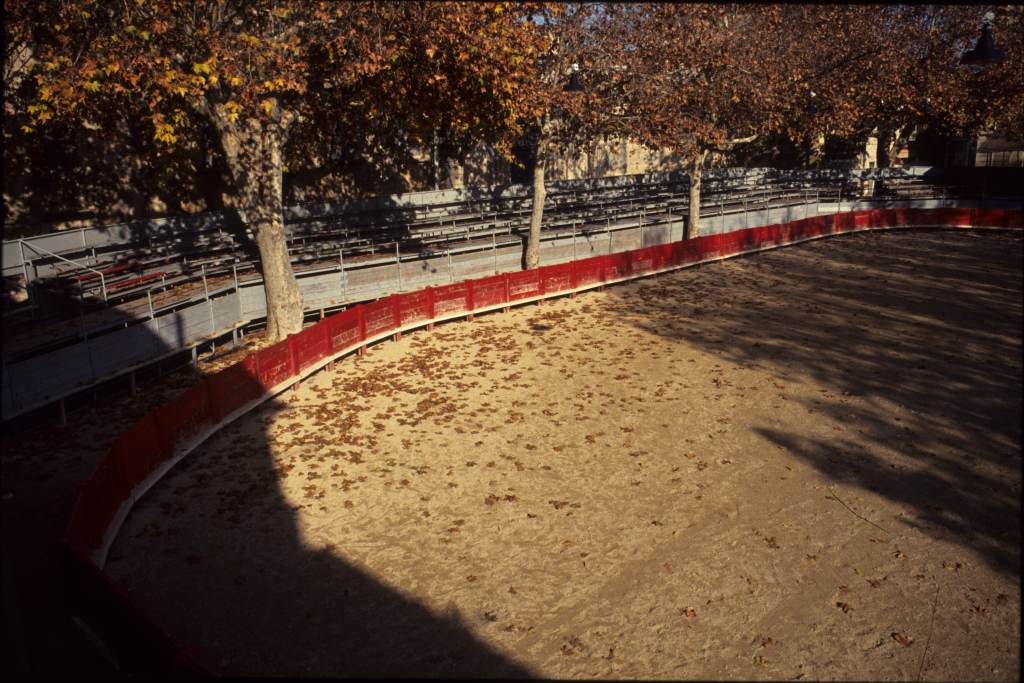 Arènes, piste et platanes.