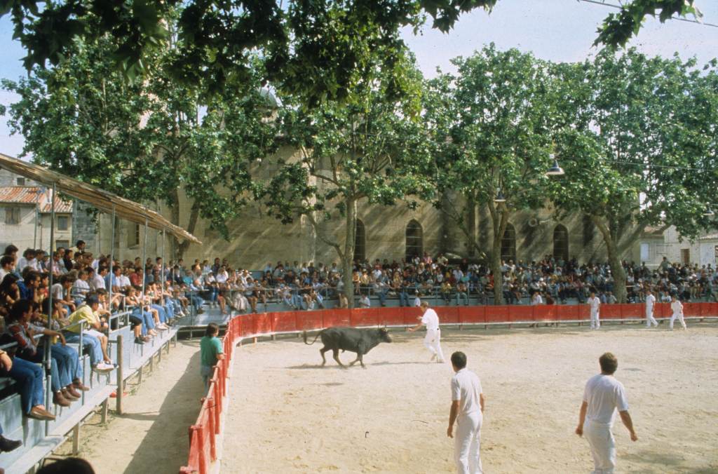 Arènes, course, razeteurs et taureau.