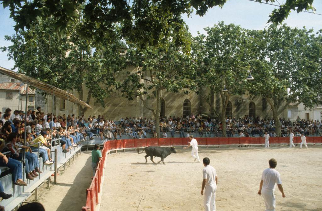 Arènes, course, razeteurs et taureau.