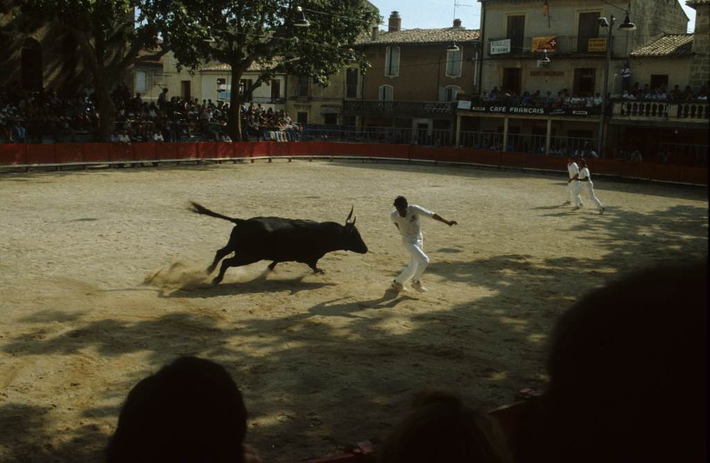 Arènes, raset.