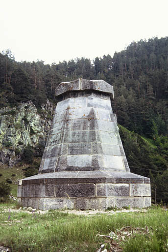 Vue générale postérieure.