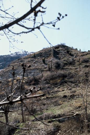 Vue générale, vestiges à l'ouest.