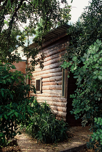 Le cabanon dans son environnement végétal.