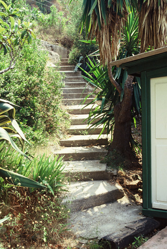 Escalier descendant du chemin à la parcelle du cabanon.