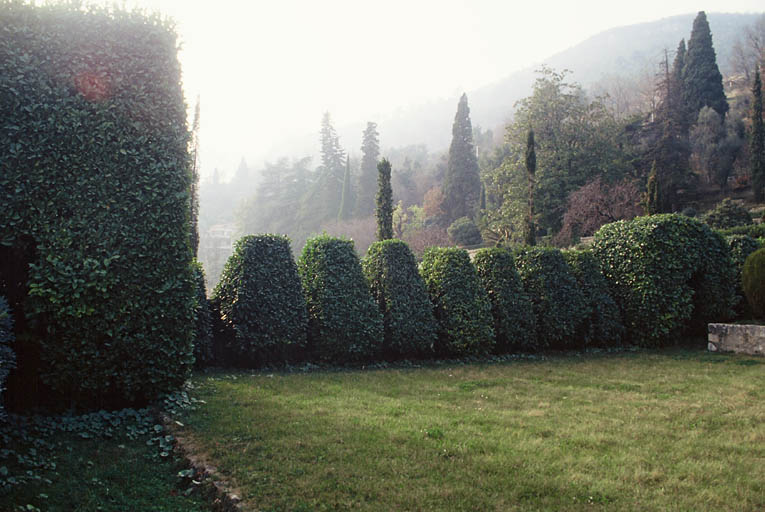 Jardin clos de la piscine, haie ouest.