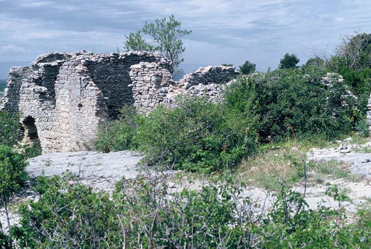 Château de Saint-Saturnin