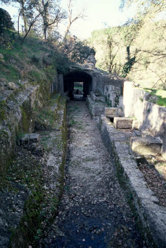 Allée des tombes.