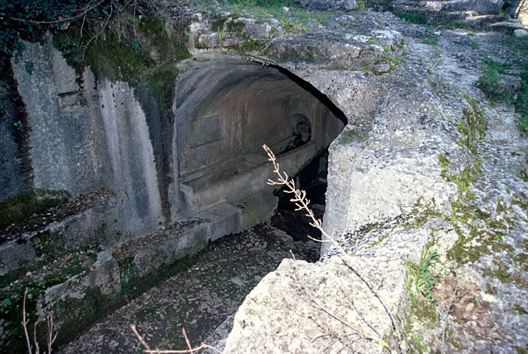 Allée couverte.