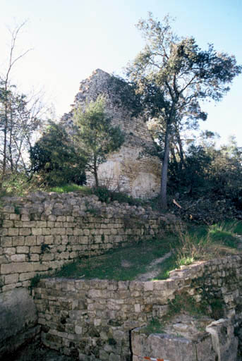 Vue générale des murs du prieuré.