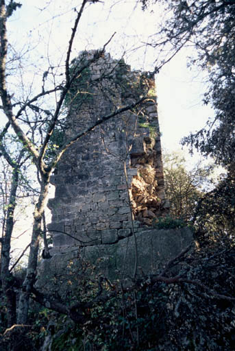 Mur du prieuré.