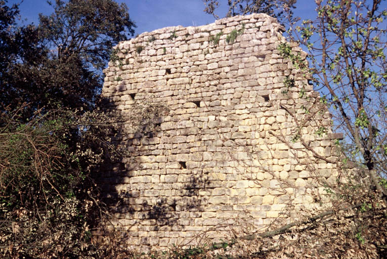 Mur du prieuré, face ouest.