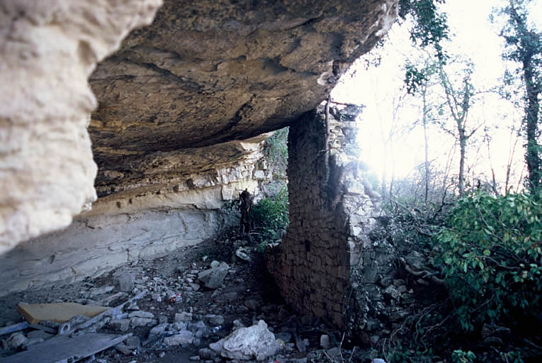 Habitat troglodyte.