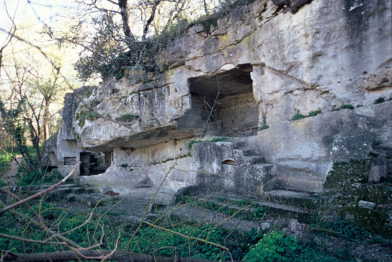 Habitat troglodyte.