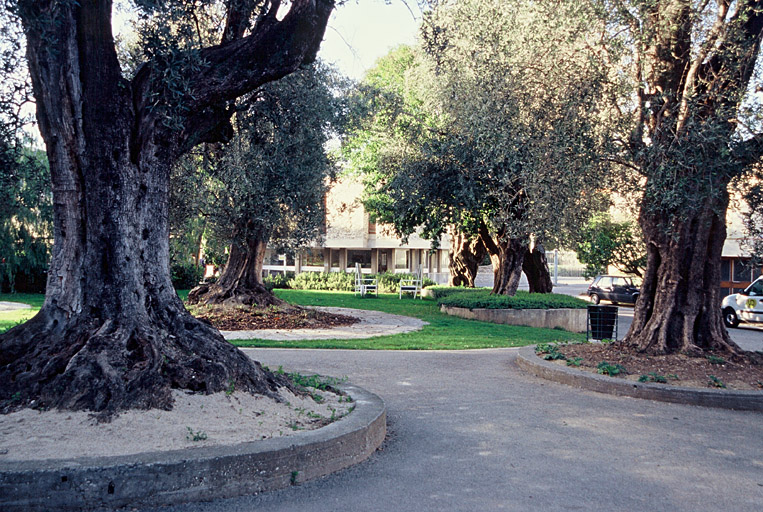 Jardin vu vers l'entrée (nord).