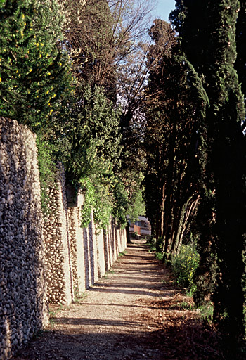 Allée des Cyprès.