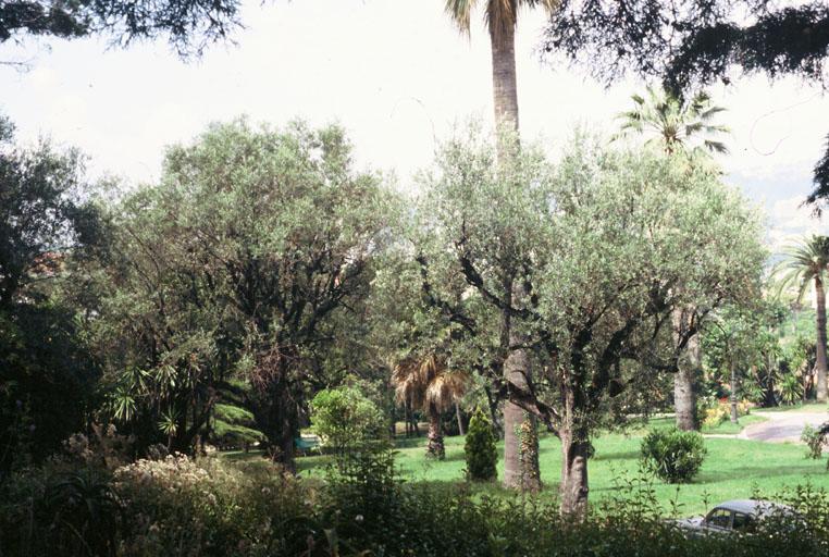 Le parc, vue de l'est.