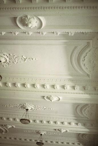 Le hall, détail décor du plafond.