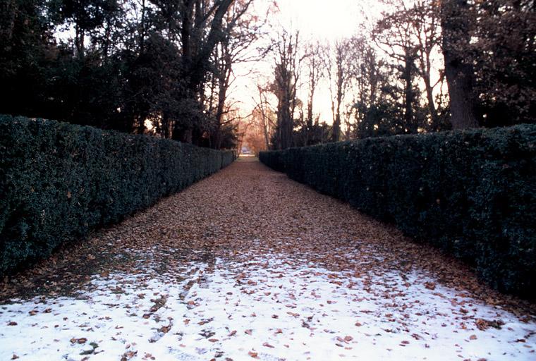 Vue du parc, l'entrée de l'allée de buis.