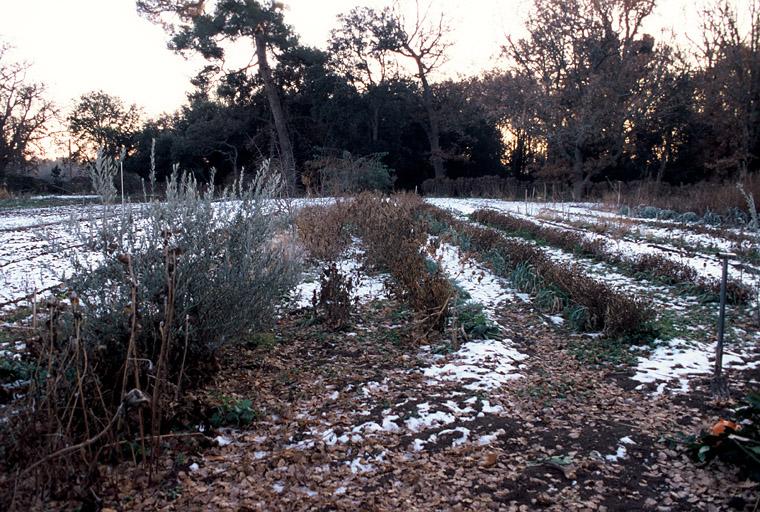 Vue du parc, le potager sous la neige.