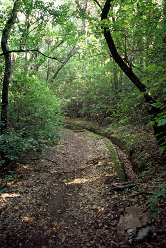 Canal d'irrigation dans la partie sud-est du parc.