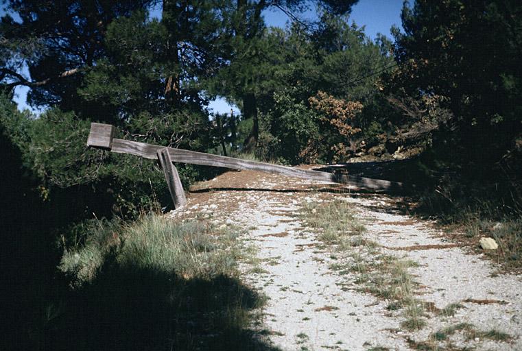 Parc forestier.