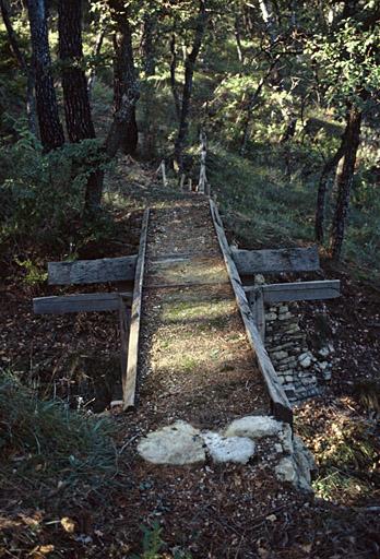 Parc forestier.