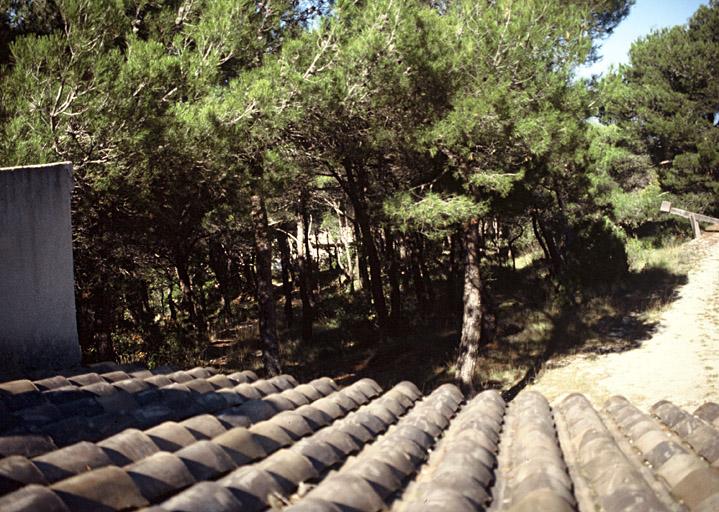 Le parc forestier depuis l'atelier d'habitation "les Citernes".