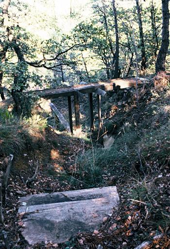 Le parc forestier, sculpture d'Arel.