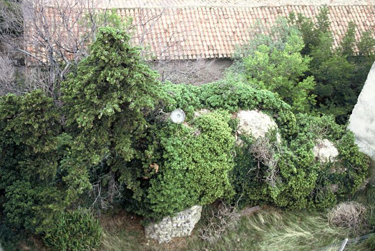 Vue depuis la terrasse vers les vestiges de l'enceinte et l'église des pénitents blancs.