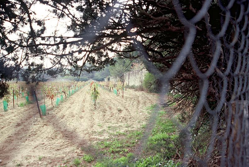 Cimetière israélite dit aussi cimetière juif